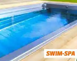 OBI Swim-spa Angebot