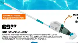 OBI Intex poolsauger zr100 Angebot