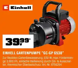 OBI Einhell gartenpumpe gc-gp 6538 Angebot
