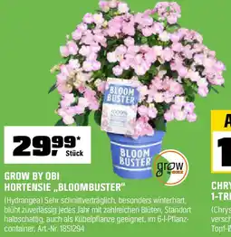 OBI Grow by obi hortensie bloombuster Angebot