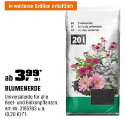 OBI Blumenerde Angebot