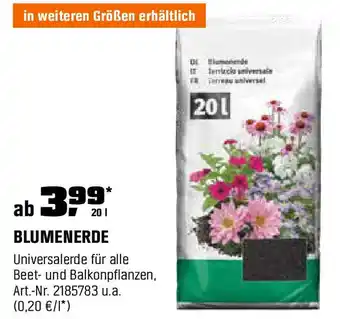OBI Blumenerde Angebot