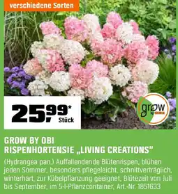 OBI Grow by obi rispenhortensie living creations Angebot