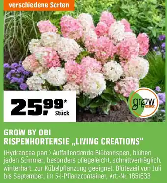 OBI Grow by obi rispenhortensie living creations Angebot