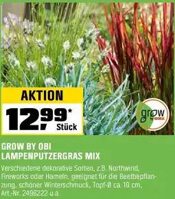 OBI Grow by obi lampenputzergras mix Angebot