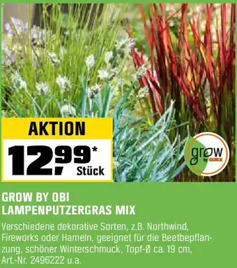 OBI Grow by obi lampenputzergras mix Angebot
