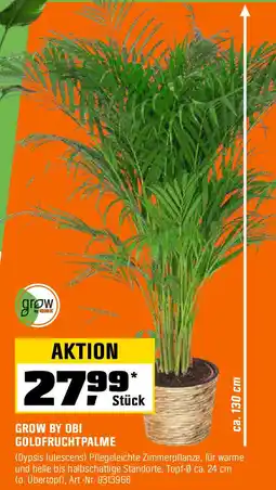 OBI Grow by obi goldfruchtpalme Angebot