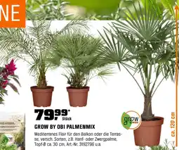 OBI Grow by obi palmenmix Angebot