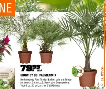 OBI Grow by obi palmenmix Angebot