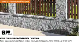 OBI Häusler alpen new-generation zaunstein Angebot