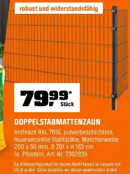 OBI Doppelstabmattenzaun Angebot