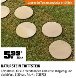 OBI Naturstein trittstein Angebot