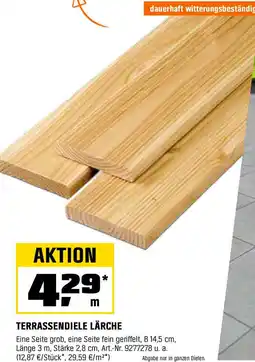 OBI Terrassendiele lärche Angebot