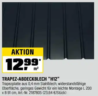OBI Trapez-abdeckblech h12 Angebot