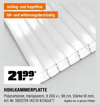 OBI Hohlkammerplatte Angebot
