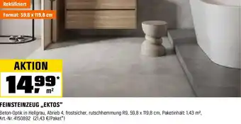OBI Feinsteinzeug ektos Angebot