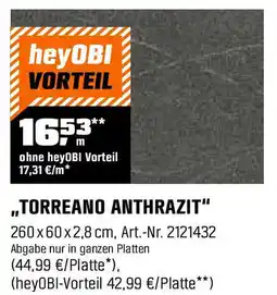OBI Torreano anthrazit Angebot