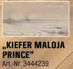 OBI Kiefer maloja prince Angebot