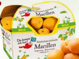 Billa Da komm' ich her Marillen Angebot