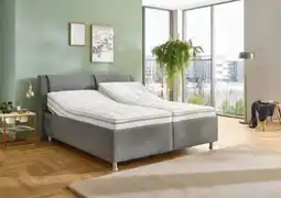 XXXLutz Beldomo Polsterbett Angebot