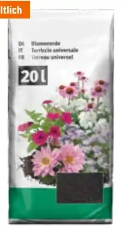 OBI Blumenerde Angebot