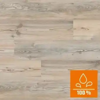 OBI Kaindl Proganic Kiefer Maloja Prince Angebot