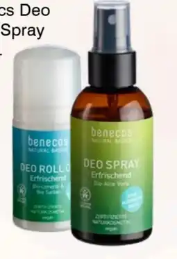 Prokopp Benecos Natural Basics Deo Spray Angebot
