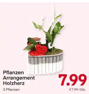 MPreis Pflanzen Arrangement Holzherz Angebot
