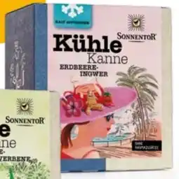 Martin Reformstark Sonnentor Kühle Kanne Erdbeer-Ingwer Tee Angebot