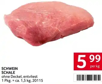 Transgourmet Schwein schale Angebot