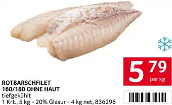 Transgourmet Rotbarschfilet Angebot