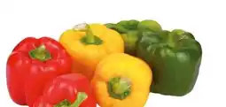 Transgourmet Paprika Mix Angebot