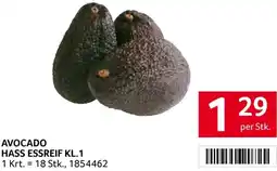 Transgourmet Avocado hass essreif Angebot