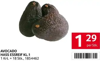 Transgourmet Avocado hass essreif Angebot