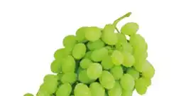 Transgourmet Trauben Angebot