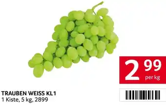 Transgourmet Trauben weiss Angebot