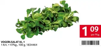 Transgourmet Vogerlsalat Angebot