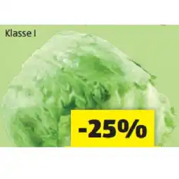 Hofer Bio-Eisbergsalat aus Österreich HOFER Angebot