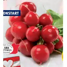Hofer Radieschen aus Österreich HOFER Angebot