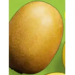 Hofer Iss Reif! Kiwis Gold HOFER Angebot