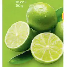 Hofer Bio-Limetten HOFER Angebot