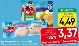 Spar Iglo Polardorsch oder Scholle Angebot
