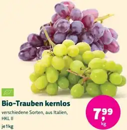Denn's Biomarkt Bio-Trauben kernlos Angebot