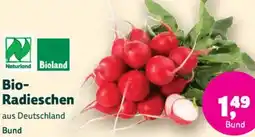 Denn's Biomarkt Bio- Radieschen Angebot