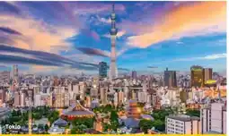Billa Reisen Billa-Reisen Japan-Rundreise von Tokio nach Osaka Angebot