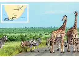 Billa Reisen Billa-Reisen Südafrika vom Krugerpark zum Tafelberg Angebot