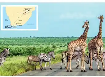 Billa Reisen Billa-Reisen Südafrika vom Krugerpark zum Tafelberg Angebot