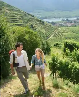 Hofer Reisen Hofer-Reisen Niederösterreich-Wachau-Spitz an der Donau Angebot