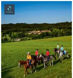 Billa Reisen Billa-Reisen Oberösterreich-Ampflwang Angebot