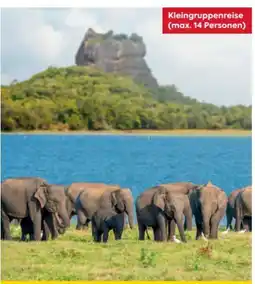 Billa Reisen Billa-Reisen Sri Lanka-Rundreise & Baden Angebot